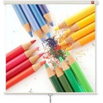 Avtek WALL Standard 175 (1EVS03) Прожекционни екрани