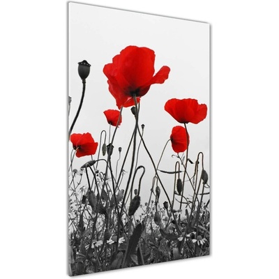 Vertikálny foto obraz sklenený Polné maky 50x100 cm
