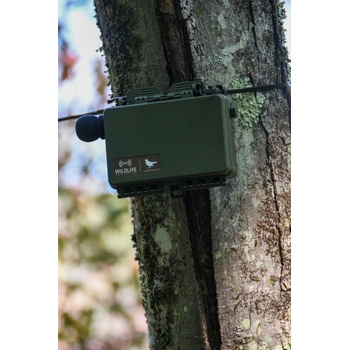 Wildlife Acoustics Song Meter SM4 Acoustic Recorder