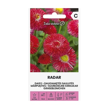 Seklos Парички червени - Radar Bellis perennis