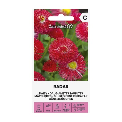 Seklos Парички червени - Radar Bellis perennis