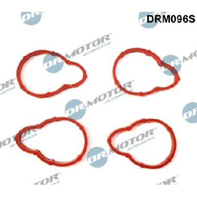 DR.MOTOR AUTOMOTIVE Sada tesnení kolena nasávacieho potrubia DRM096S
