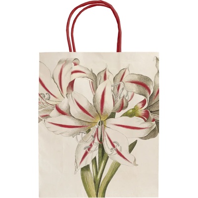 Dárková papírová taška - Green & White Christmas Amaryllis