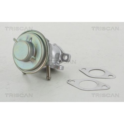 AGR-Ventil TRISCAN 8813 15029