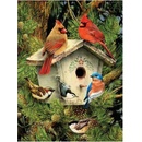 Malování podle čísel Ptáčci u budky