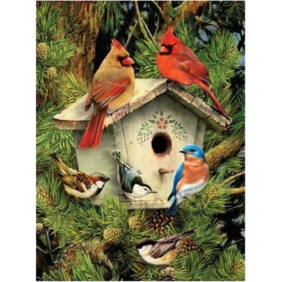 Malování podle čísel Ptáčci u budky