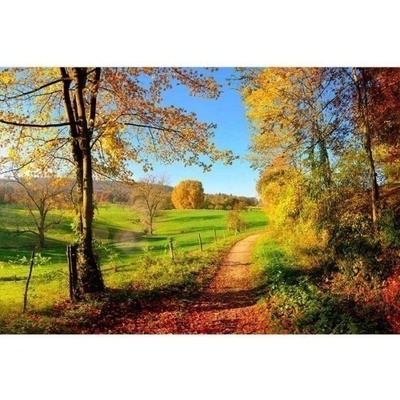 DIMEX ART Флизелинов фототапет ливада 375 x 250 см