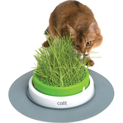 Hagen Catit Design Senses trávnik pre mačky 37 cm