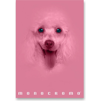 Pigna Školní sešit Monocromo Pink A4 linkovaný