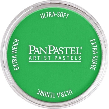 PanPastel Artists’ Сух пастел 640.5 Permanent Green 1 бр (8026405-1)