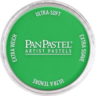 PanPastel Artists’ Сух пастел 640.5 Permanent Green 1 бр (8026405-1)