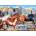 Alipson Puzzle - Puzzle Wild and Free - 500 piese