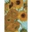 Dover Publications Inc Van Gogh's Sunflowers Notebook | Vincent Van Gogh