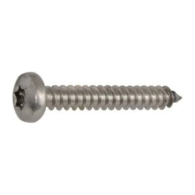 ISO14585 5,5x 16 Torx25 pozinkovaný Vrut do plechu s čočkou ~DIN7981 (500 ks)