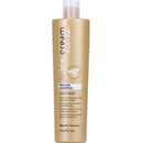 Šampony Inebrya Argan-Age arganový šampon pro lesk Brilliance Shampoo for Treated Dull and Lifeless Hair 300 ml