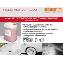 ALLEGRINI ITALY NEOS ACTIVE FOAM 25 kg