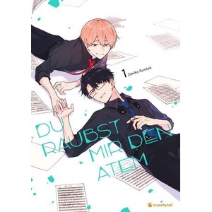 Du raubst mir den Atem - Band 1 (ISBN: 9782889517435)
