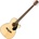 Fender CB-60SCE