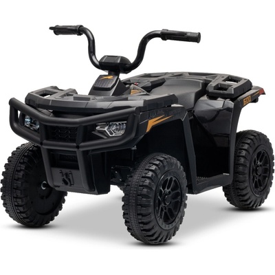 Beneo Arctic Cat 12V elektrická štvorkolka černá