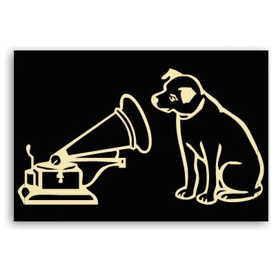 Fotoobraz 90x60 cm střední Master voice