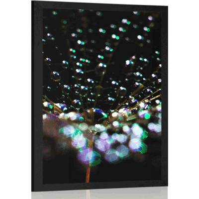 Plakát kapky vody na pampelišce - 30x45 no frame