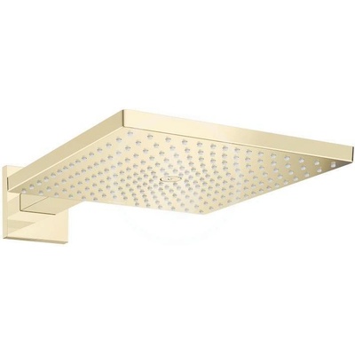 Hansgrohe Raindance 26238990