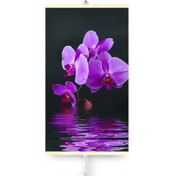 Image 1 of Warmcoin Orchid