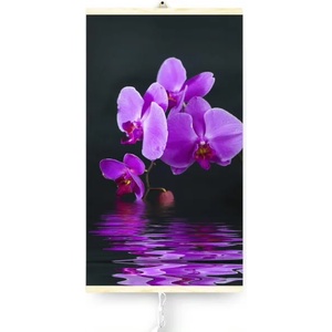 Warmcoin Orchid