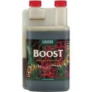 CANNA Cannaboost Accelerator 250ml