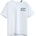 Alpinestars Formulation CSF biele