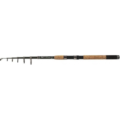 Albastar Prut Shark Pro 12ft 3,6m 100g 8 dílu