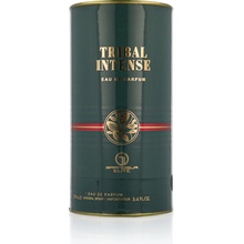 Grandeur Tribal Intense parfumovaná voda pánska 100 ml