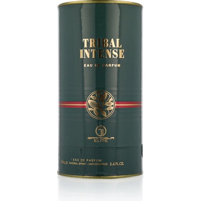 Grandeur Tribal Intense parfumovaná voda pánska 100 ml