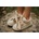 Donsje Детски велурени маратонки Donsje Lexley Sneakers (2029000.22.28)