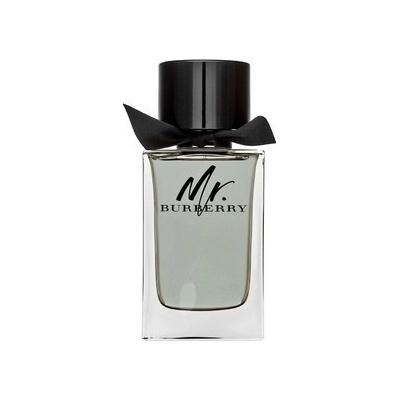 Burberry Mr. Burberry toaletní voda pánská 10 ml vzorek