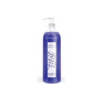 Jean Paul Myne Navitas Organic Touch Blueberry Shampoo 250 ml