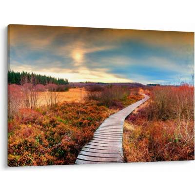Obraz - Podzimní cesta krajinou, jednodílný 100x70 cm – Hledejceny.cz