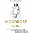 Moudrost koní