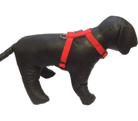 Zero DC Postroj pro flyball