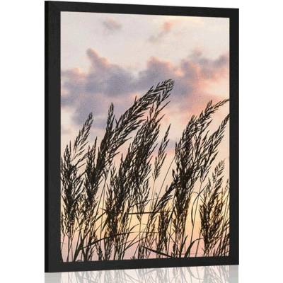Plakát tráva při zapadajícím slunci - 20x30 black
