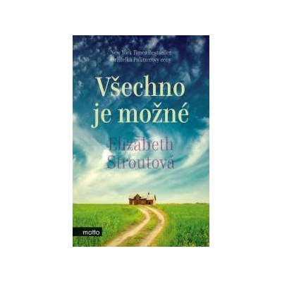 Všechno je možné Elizabeth Strout