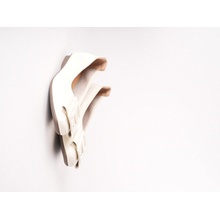 Pass dámské baleríny se sponou béžové