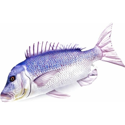 Gaby Vankúš Zubáč obyčajný mini 43 cm
