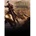 SEGA Rome II Total War Unit Pack Beasts of War DLC (PC)