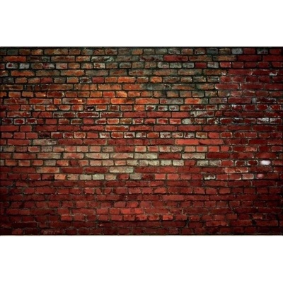 Dimex MS-5-0166 vliesová fototapeta na zeď Tehlový múr, rozmery 375 x 250 cm