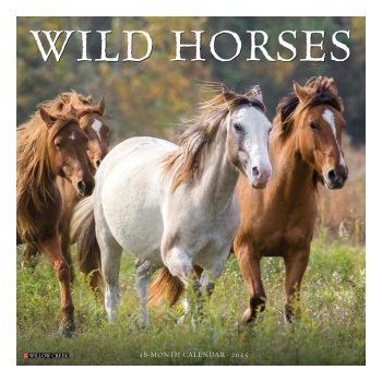 Willow Creek Press Calendars Wild Horses 2026 12 X 12 Wall Calendar