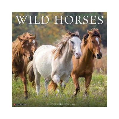 Willow Creek Press Calendars Wild Horses 2026 12 X 12 Wall Calendar | Willow Creek Press