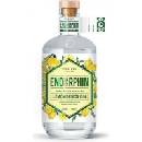 Endorphin Lemon Demon 43% 0,5 l (holá láhev)