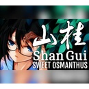 Shan Gui