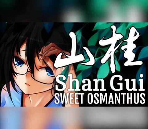 Shan Gui